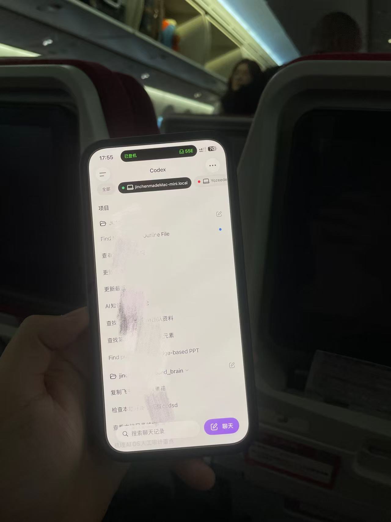 移动端 Codex 截图